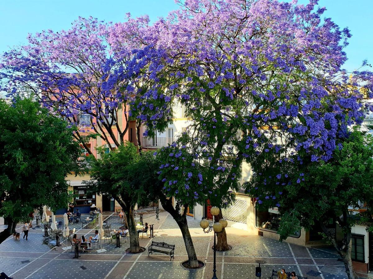 Sherryflat Senovilla Jerez de la Frontera Exterior foto